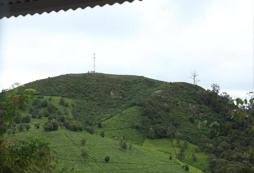 חדר דלוקס עם מרפסת, The Tamarillo