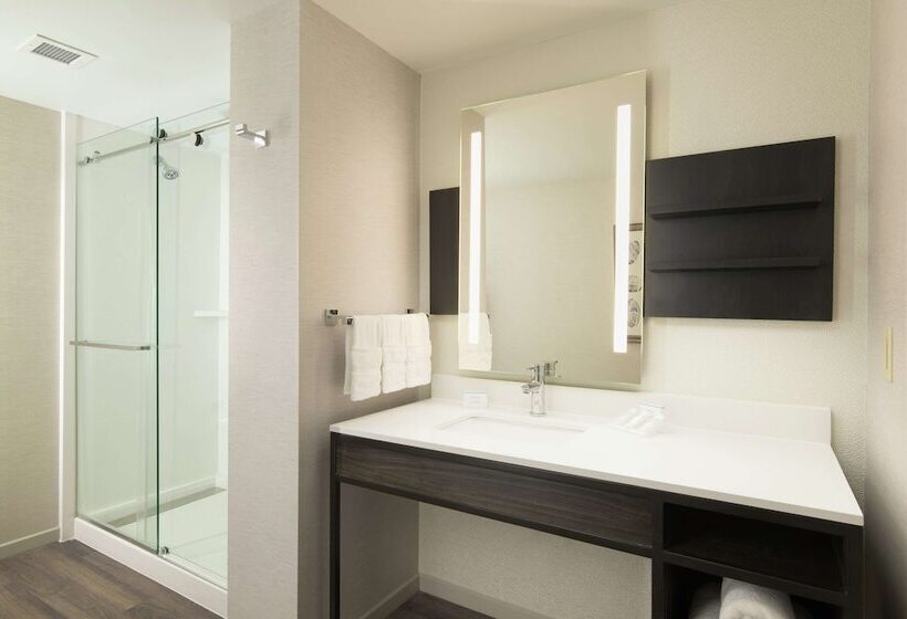 Delüks Oda, Hilton Garden Inn Memphis Downtown Beale Street