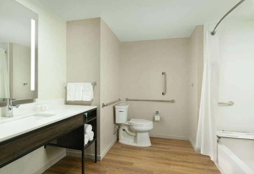 Engellilere uygun Lüks Oda, Hilton Garden Inn Memphis Downtown Beale Street