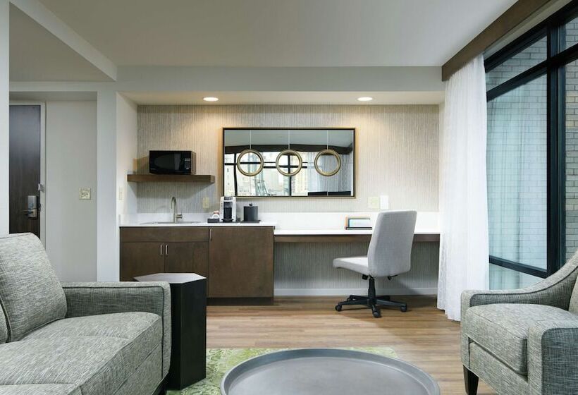 Büyük Çift Kişilik Yataklı Süit, Hilton Garden Inn Memphis Downtown Beale Street