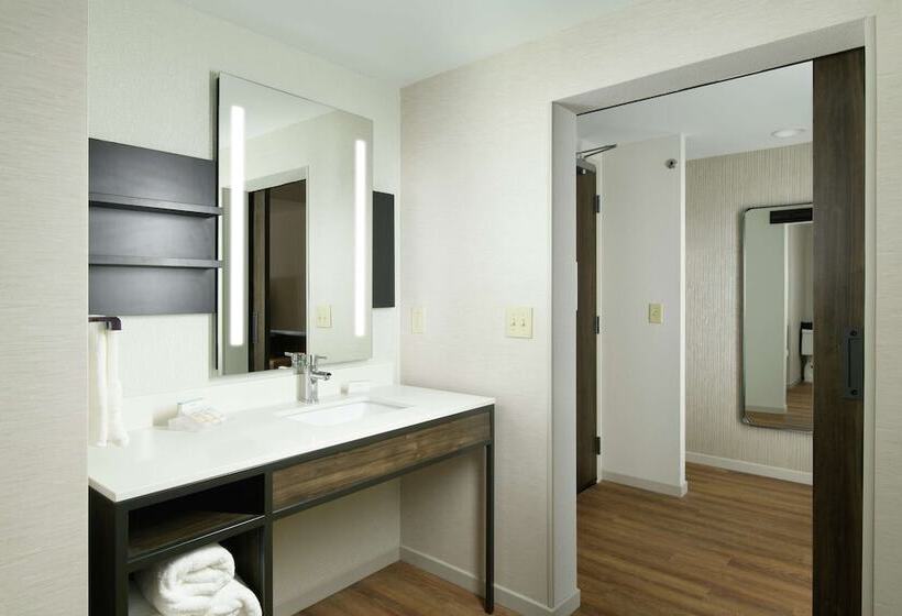 Delüks Oda, Hilton Garden Inn Memphis Downtown Beale Street