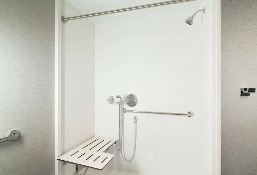 Engellilere uygun Lüks Oda, Hilton Garden Inn Memphis Downtown Beale Street