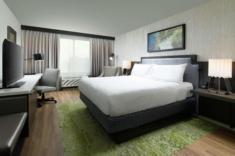 Büyük Çift Kişilik Yataklı Standart Oda, Hilton Garden Inn Memphis Downtown Beale Street