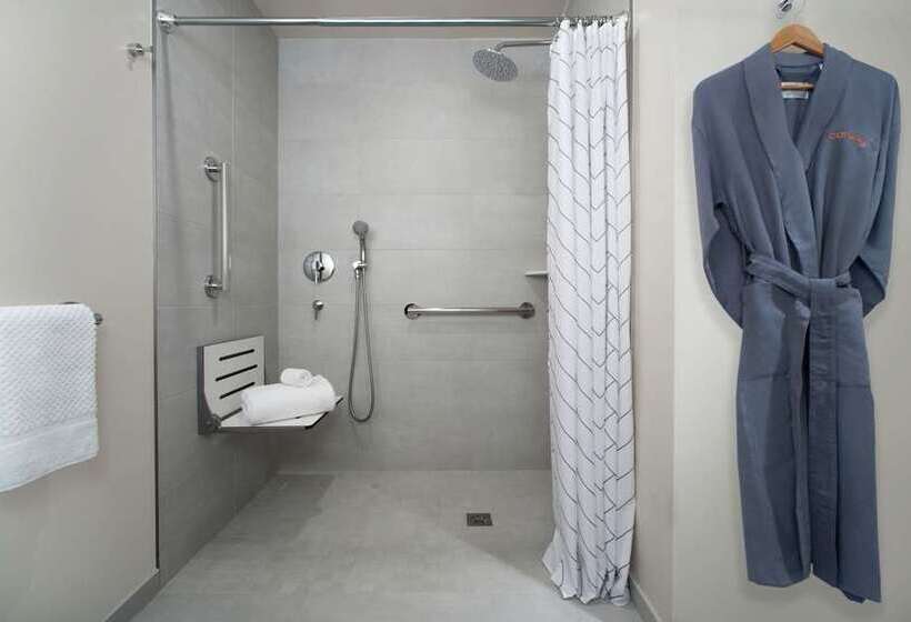 Delüks Oda, Hilton Garden Inn Memphis Downtown Beale Street