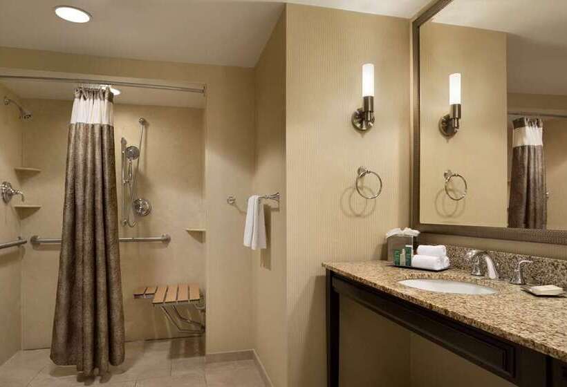 Delüks Oda, Hilton Garden Inn Memphis Downtown Beale Street