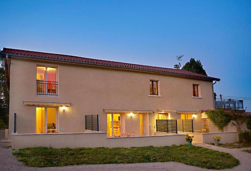 스탠다드 스튜디오, Revigora