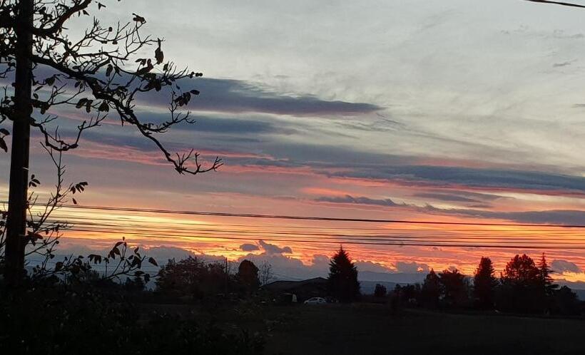 침실 1개 테라스 아파트, Revigora