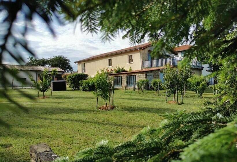 스탠다드 스튜디오, Revigora