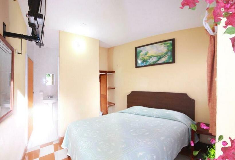 غرفة قياسية, Bugambilias