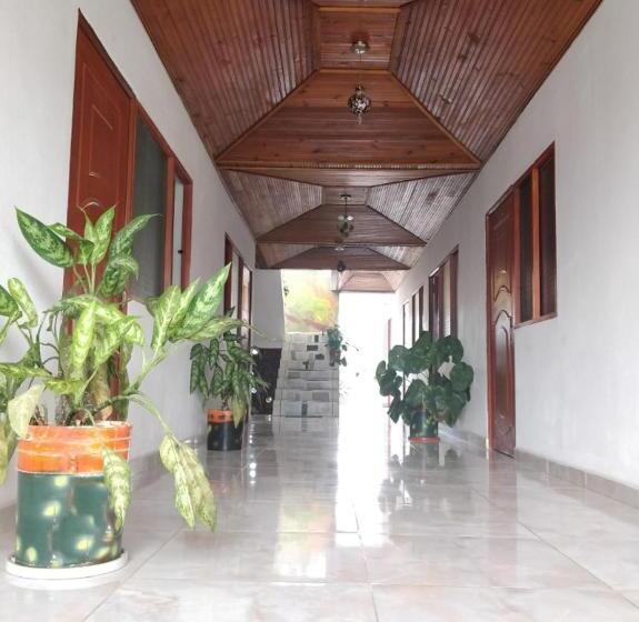 Quarto Triplo Standart, Casa Pacha