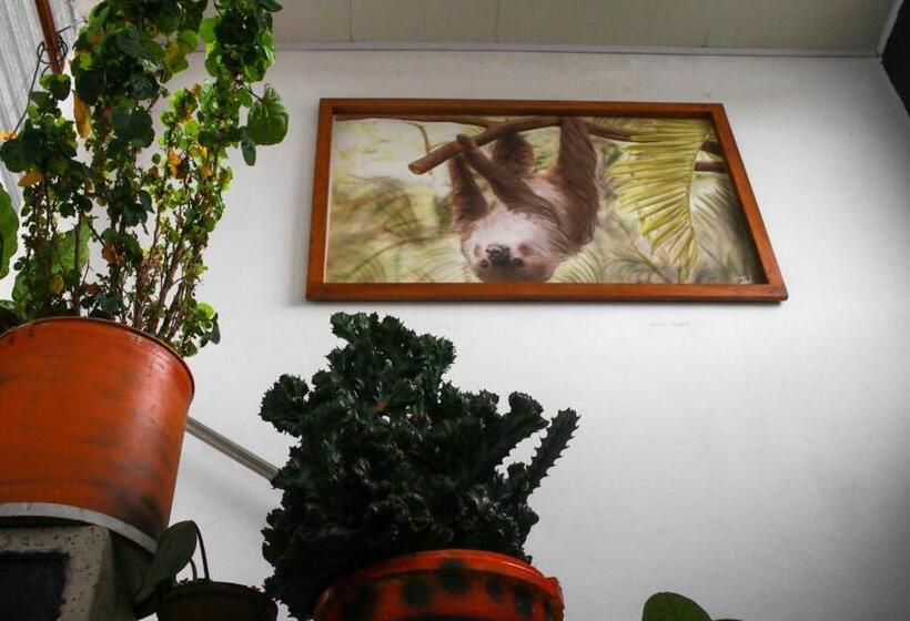 Quarto standard, Casa Pacha