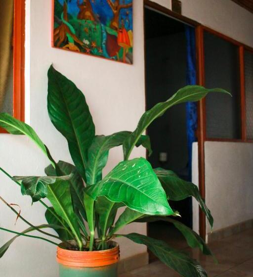 Quarto standard, Casa Pacha