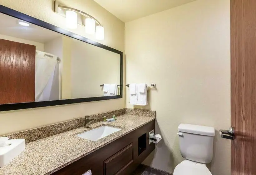 デラックススタジオ, Cobblestone Inn & Suites  Fairfield Bay