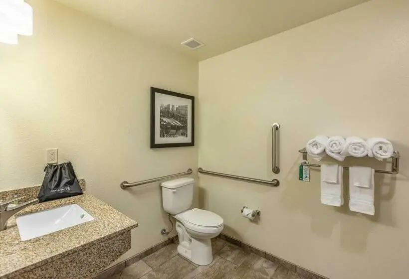 身障者適用スタンダードルーム, Cobblestone Inn & Suites  Fairfield Bay