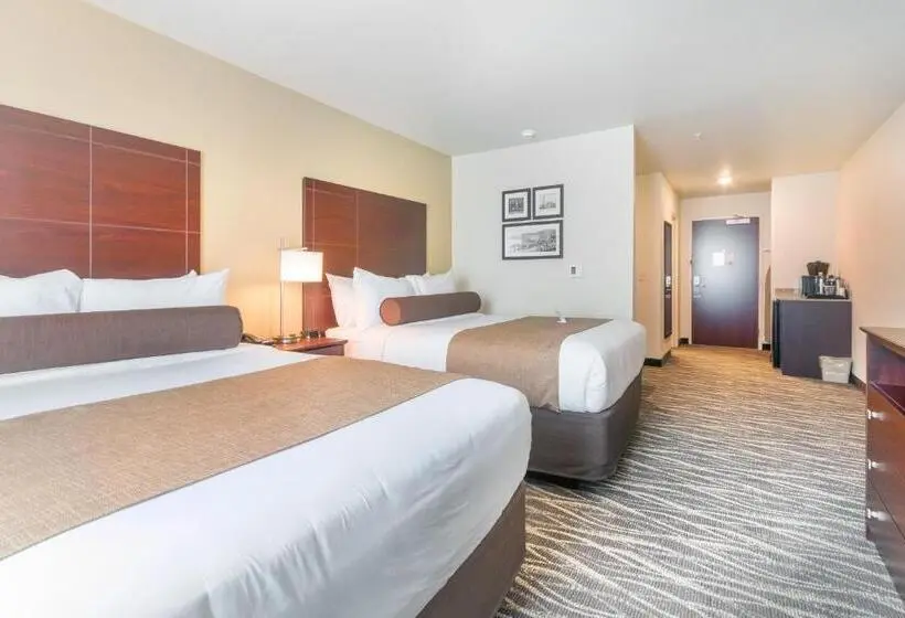 デラックススタジオ, Cobblestone Inn & Suites  Fairfield Bay