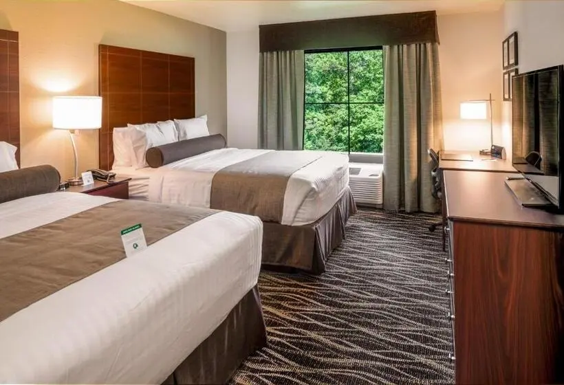 デラックススタジオ, Cobblestone Inn & Suites  Fairfield Bay