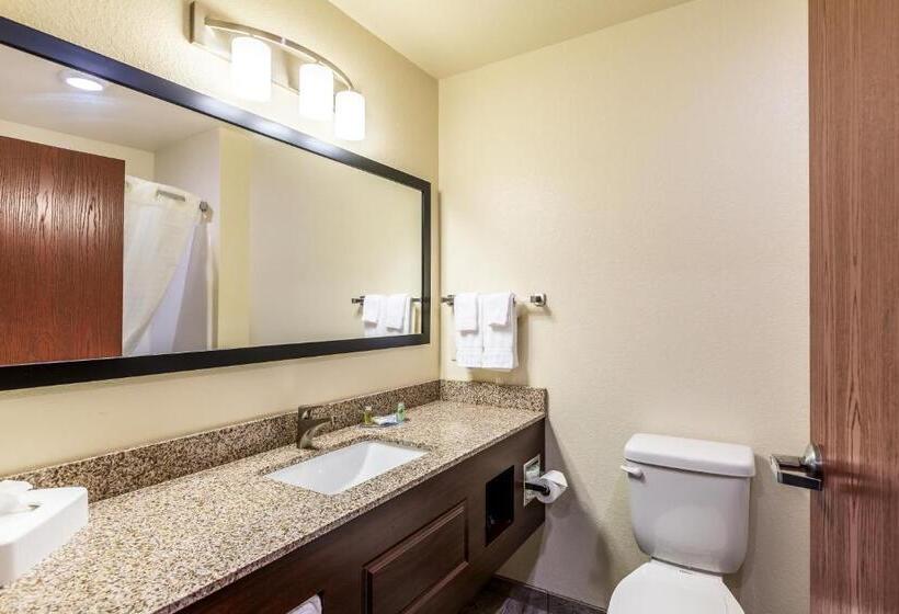 디럭스 스위트, Cobblestone Inn & Suites  Fairfield Bay