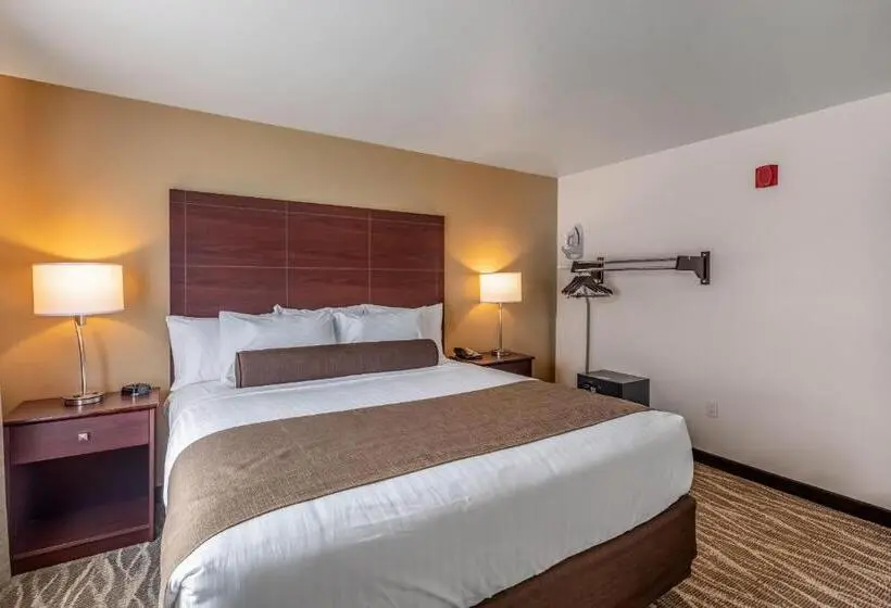 デラックススイート, Cobblestone Inn & Suites  Fairfield Bay