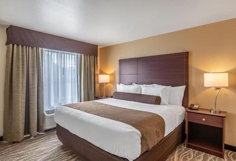 جناح ديلوكس, Cobblestone Inn & Suites  Fairfield Bay