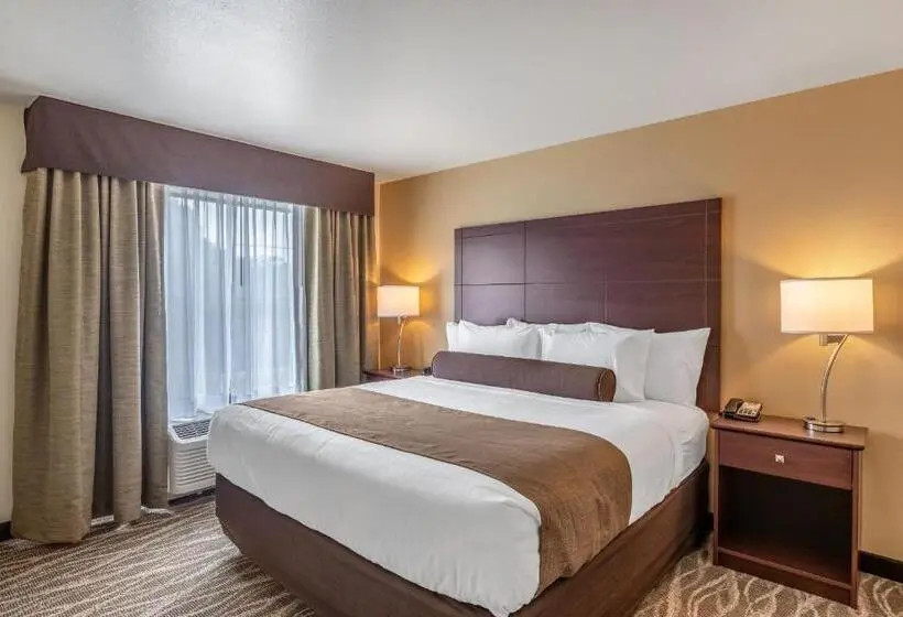 デラックススイート, Cobblestone Inn & Suites  Fairfield Bay