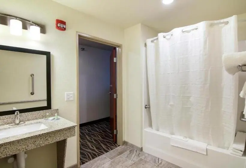 身障者適用キングサイズベッドルーム, Cobblestone Inn & Suites  Fairfield Bay