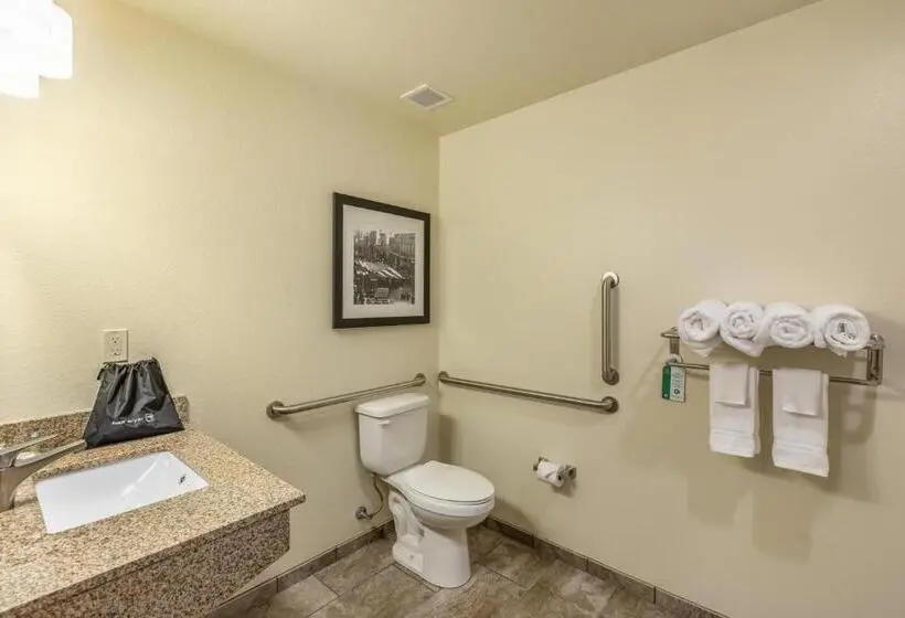 身障者適用キングサイズベッドルーム, Cobblestone Inn & Suites  Fairfield Bay