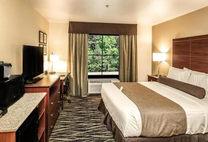 身障者適用キングサイズベッドルーム, Cobblestone Inn & Suites  Fairfield Bay