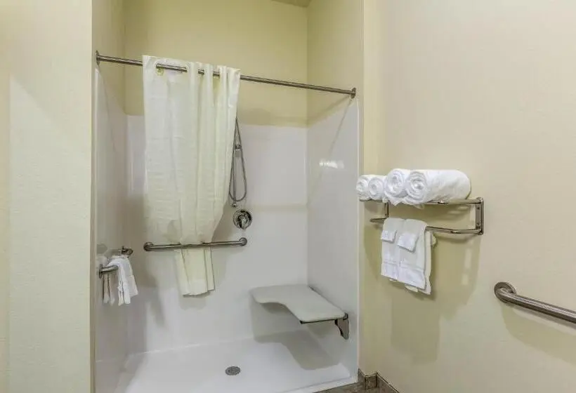 身障者適用スタンダードルーム, Cobblestone Inn & Suites  Fairfield Bay