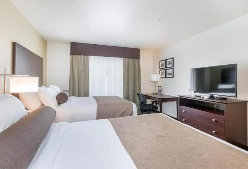 身障者適用スタンダードルーム, Cobblestone Inn & Suites  Fairfield Bay