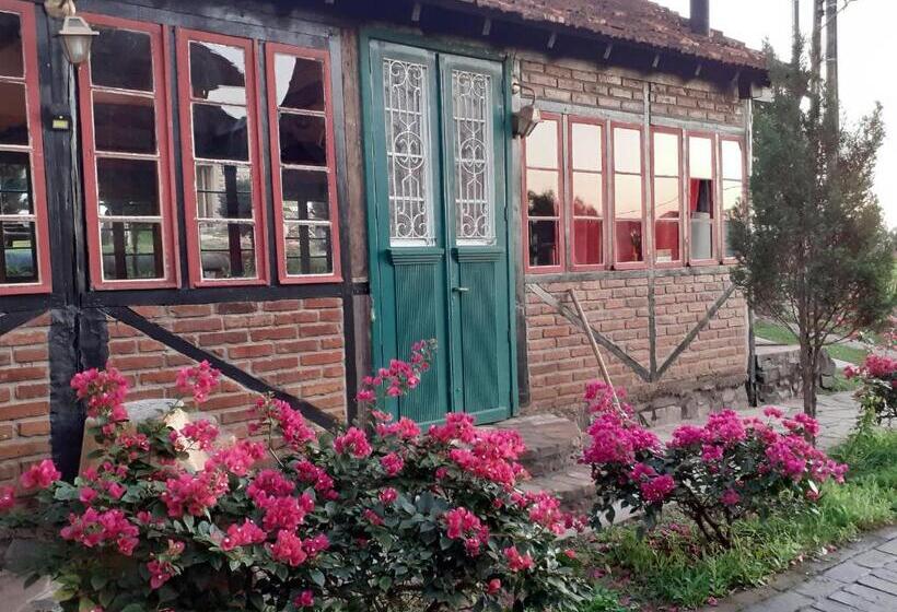 דירת חדר בקומת קרקע, Pousada Kolonisten Haus