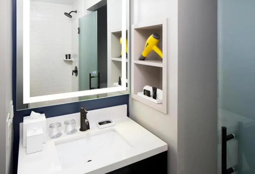 اتاق لوکس, Hyatt Centric Faneuil Hall Boston