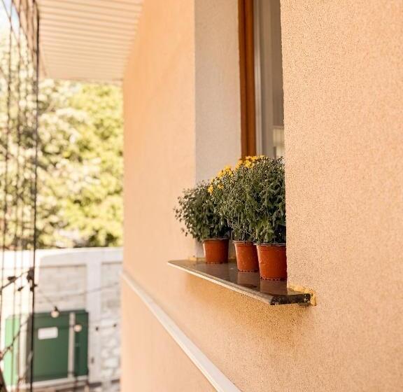 اتاق استاندارد سه نفره, 77/5