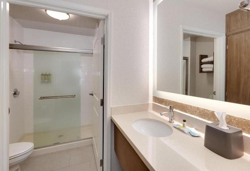 스탠다드 스튜디오, Staybridge Suites   San Antonio   Schertz, An Ihg