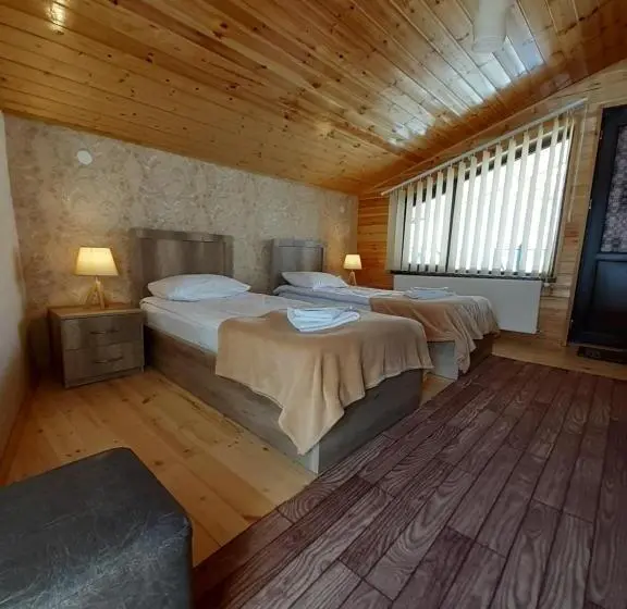 اتاق استاندارد با چشم‌انداز, Four Season In Kazbegi