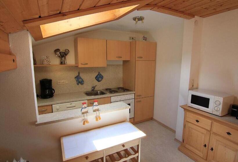 침실 1개 발코니 아파트, Sportpension Färbinger