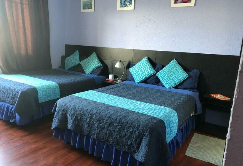 4인용 수피리어 룸, Hostal Alua Rio