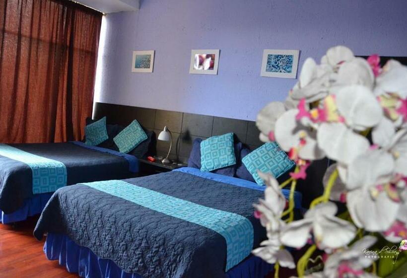 4인용 수피리어 룸, Hostal Alua Rio