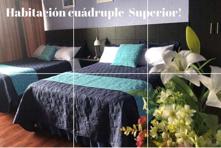 4인용 수피리어 룸, Hostal Alua Rio