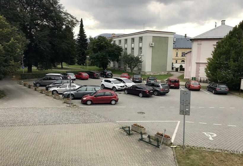 חדר סטנדרט, Staříč