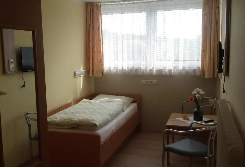 スタンダードシングルルーム, Pension Freizeitzentrum Sambachshof