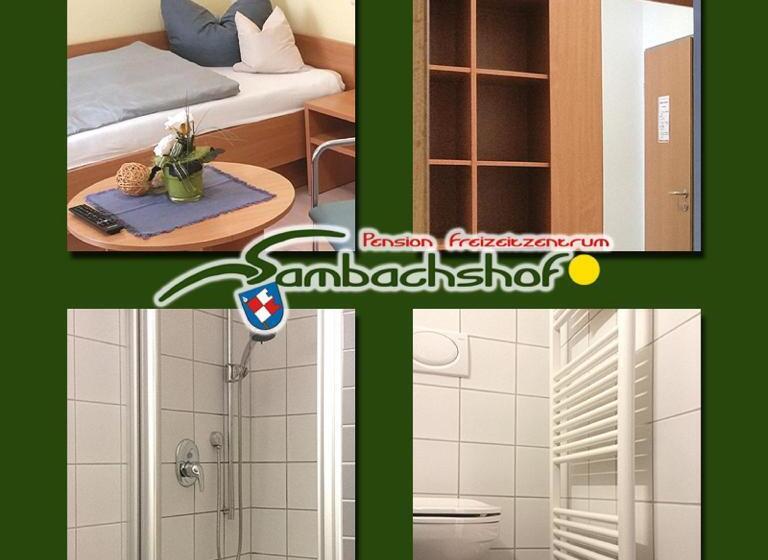 스탠다드 싱글 룸, Pension Freizeitzentrum Sambachshof