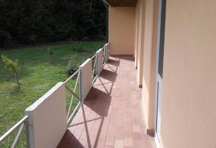 스탠다드 룸, Pension Freizeitzentrum Sambachshof