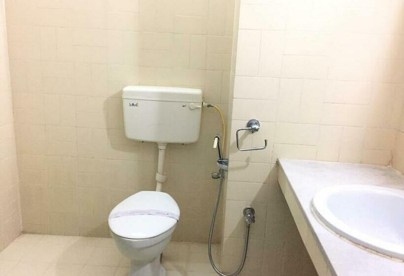 Номер Стандарт, Paris Presidency