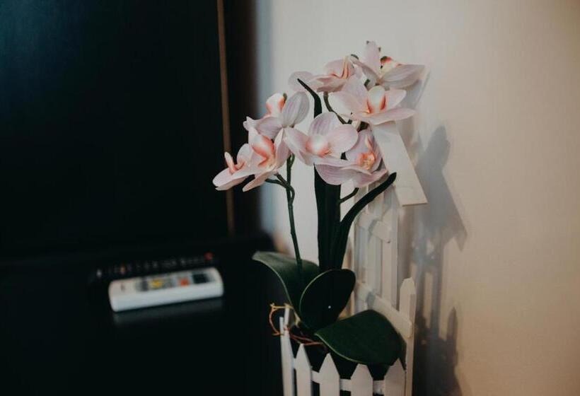 スタンダードルーム, Pensiunea Jacqueline