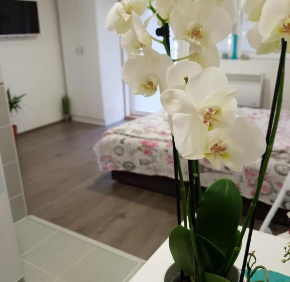 استودیوی استاندارد, Vila Stefanovic