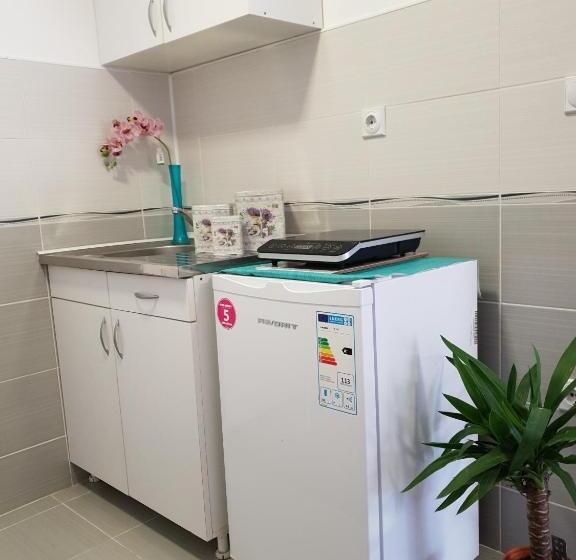 استودیوی استاندارد, Vila Stefanovic