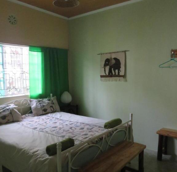 اتاق استاندارد با تخت بزرگ, Aloepark Art