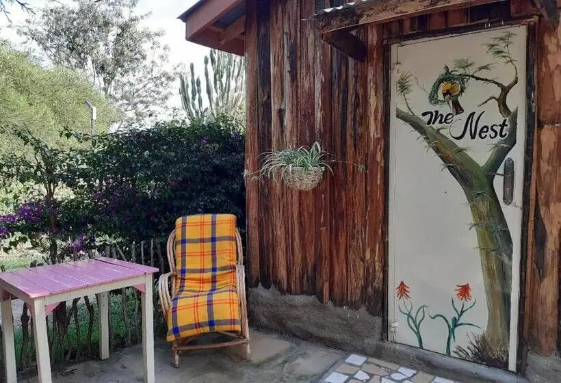 اتاق یک تخته با تراس, Aloepark Art