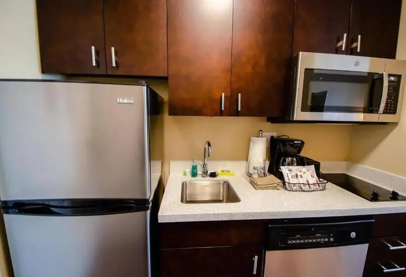 استودیو استاندارد با تخت کینگ, Towneplace Suites By Marriott Temple