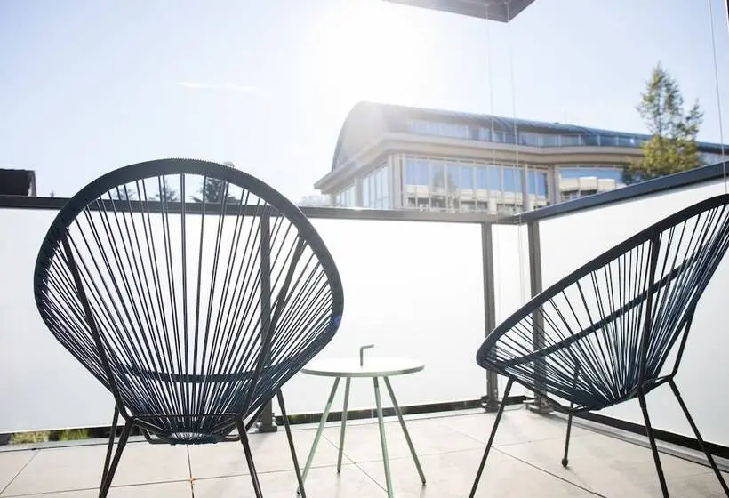 バルコニー付き１ベッドルームアパートメント, Gubelhof Suites